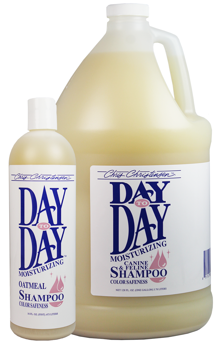 Увлажняющий шампунь Day to Day Moisturizing Shampoo 